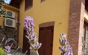 Casa Lavanda